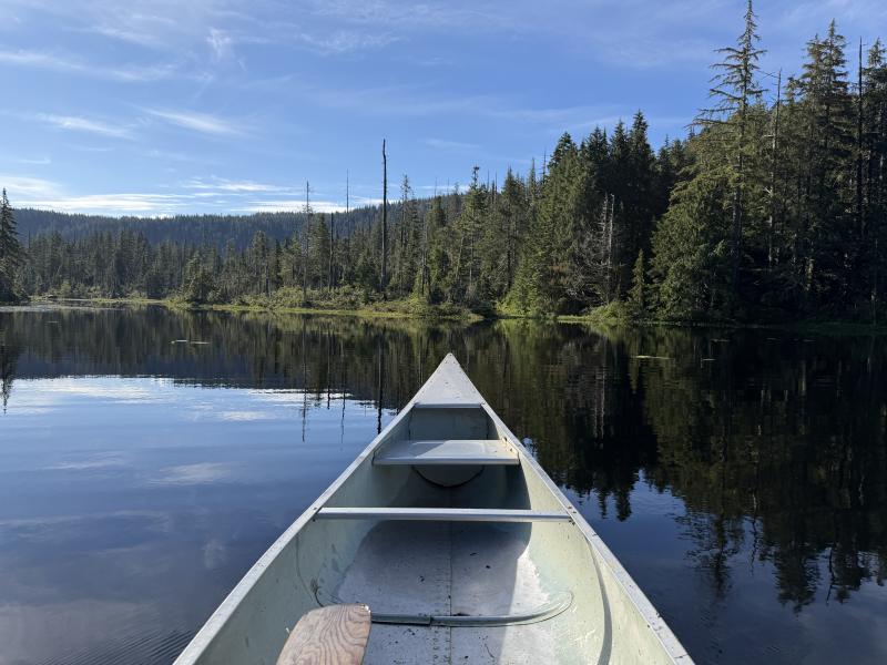 Various Hikes photo 7