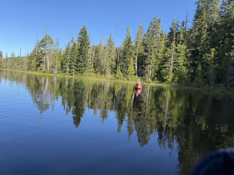 Various Hikes photo 8