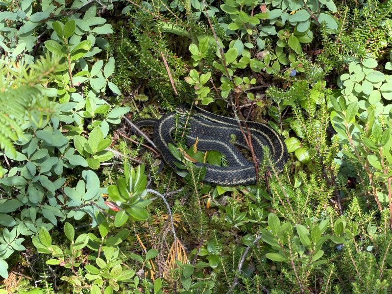 Various Hikes photo 9
