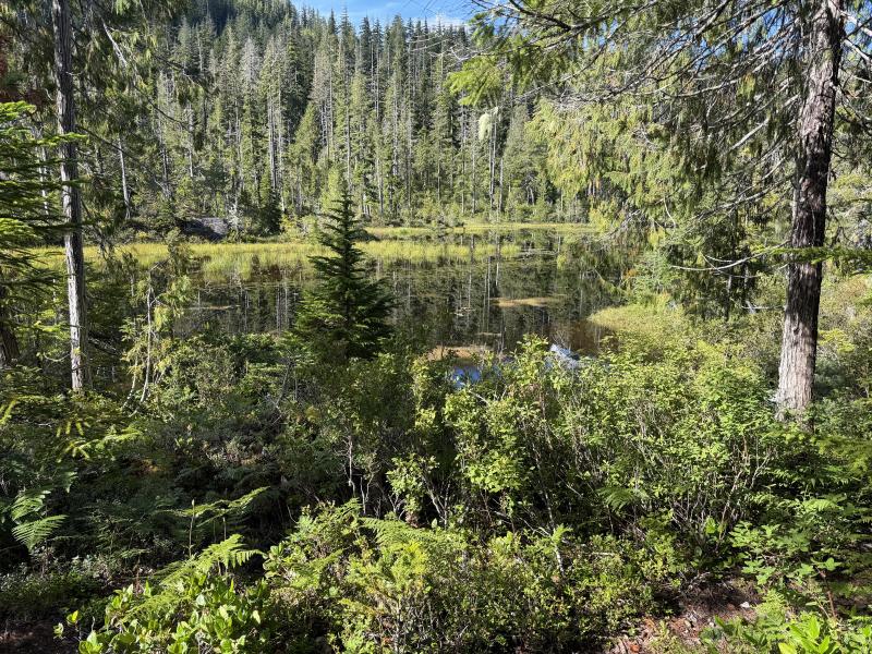 Various Hikes photo 10