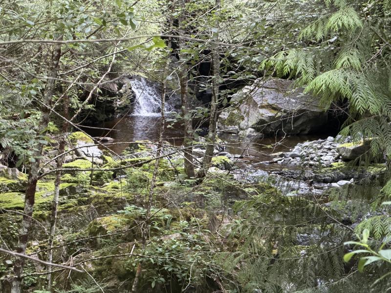 Various Hikes photo 1