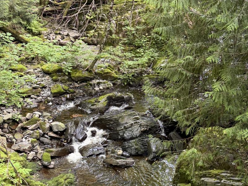 Various Hikes photo 2