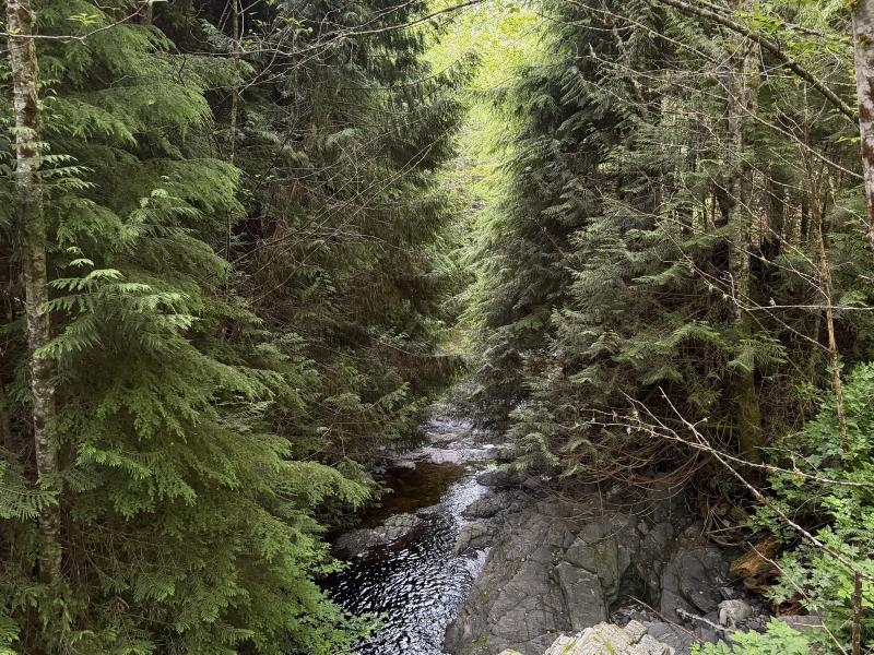 Various Hikes photo 3