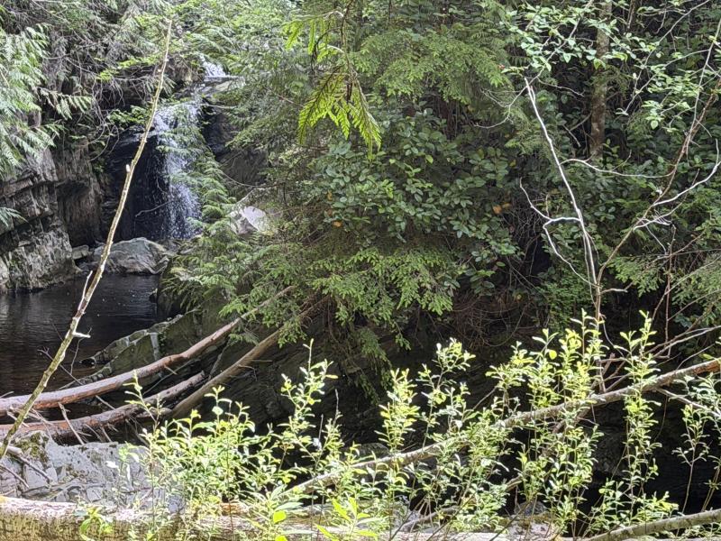 Various Hikes photo 4