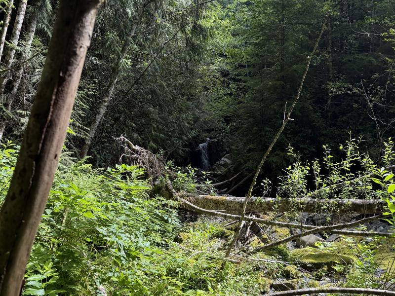 Various Hikes photo 5
