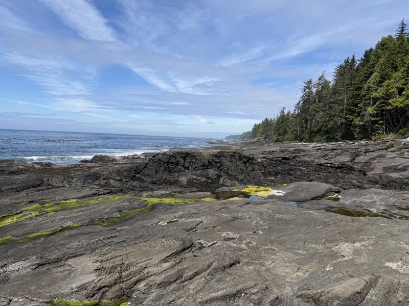 Various Hikes photo 6
