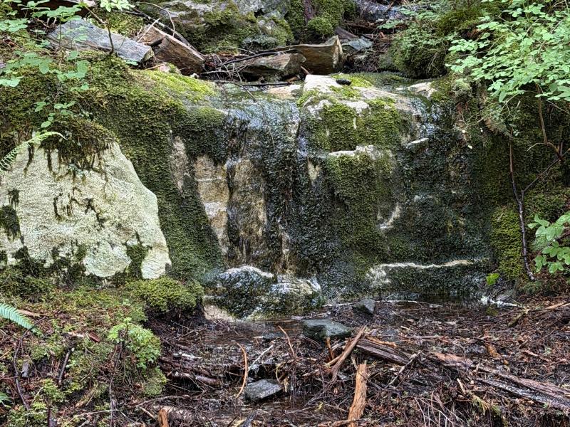 Various Hikes photo 15