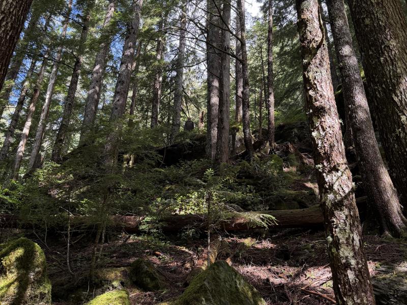 Various Hikes photo 16