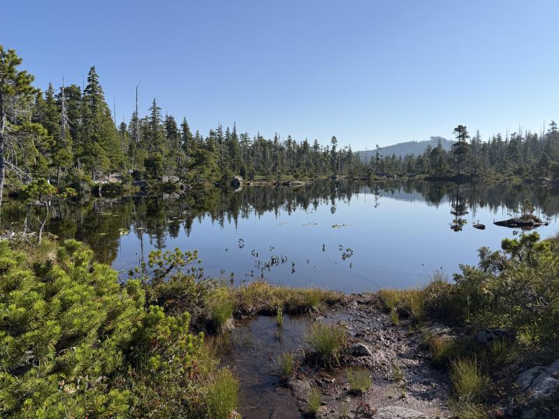 Pine Lake photo 4