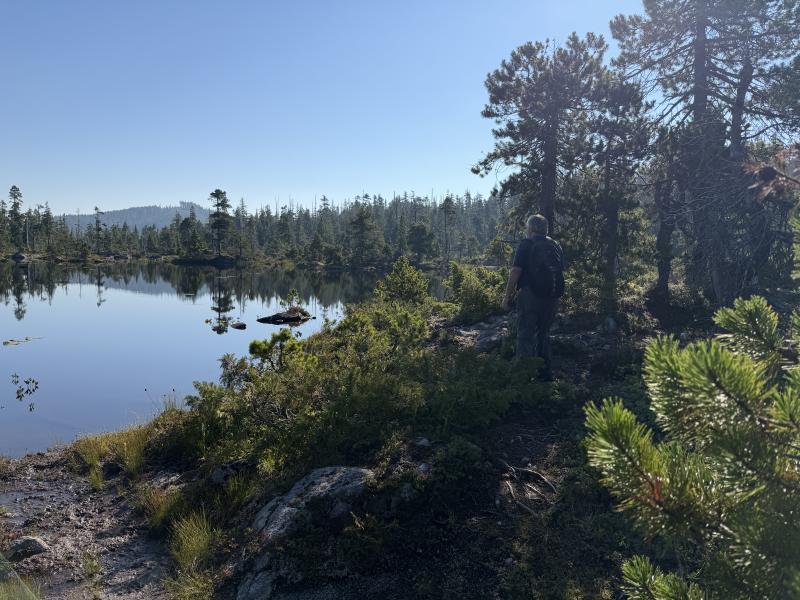 Pine Lake photo 5