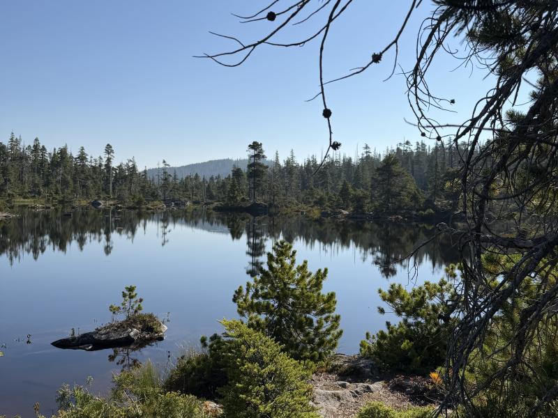 Pine Lake photo 6