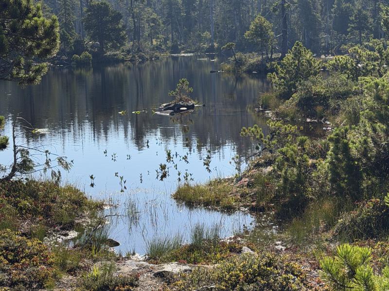 Pine Lake photo 7