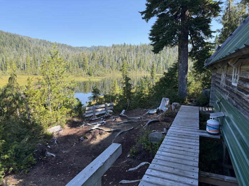 Pine Lake photo 10