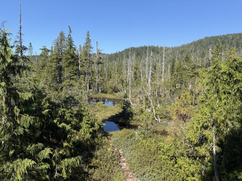 Pine Lake photo 11