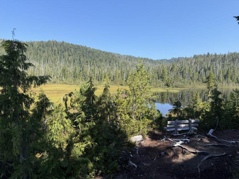 Pine Lake photo 12