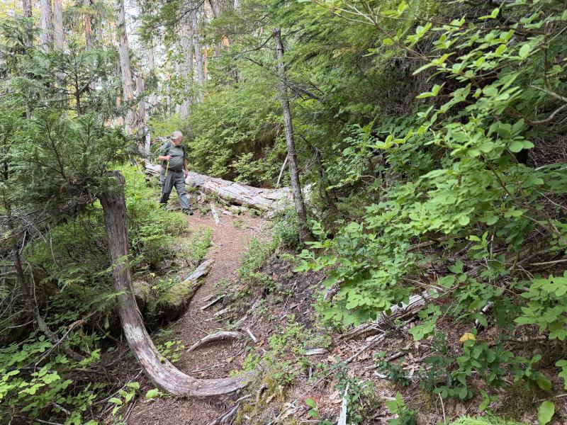 Pine Lake photo 27