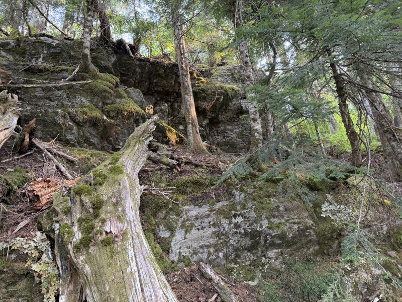 Pine Lake photo 28