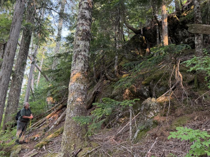 Pine Lake photo 29
