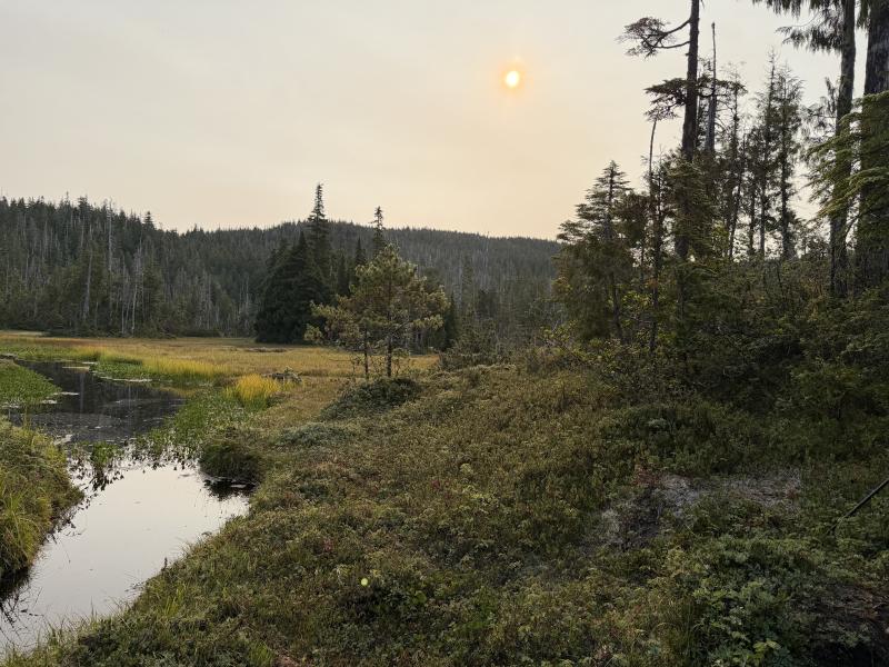 Pine Lake photo 22