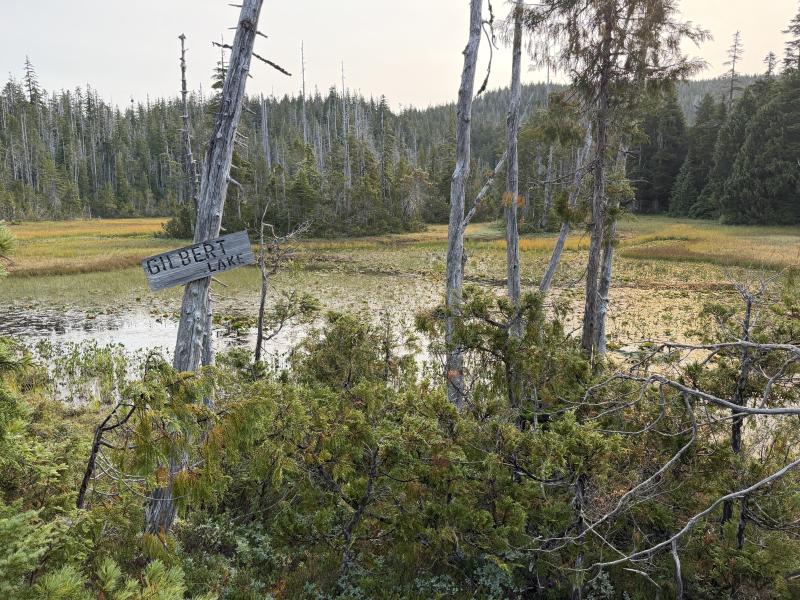 Pine Lake photo 23