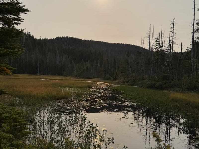 Pine Lake photo 25