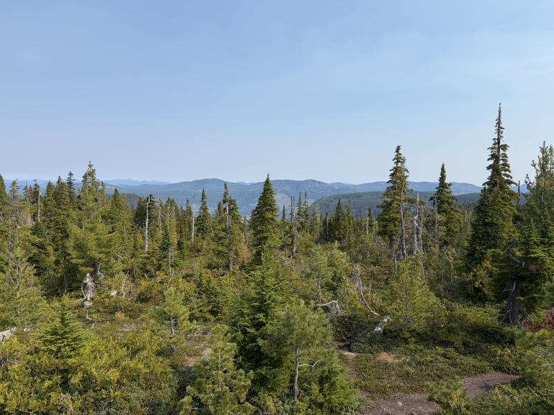 Pine Lake photo 37