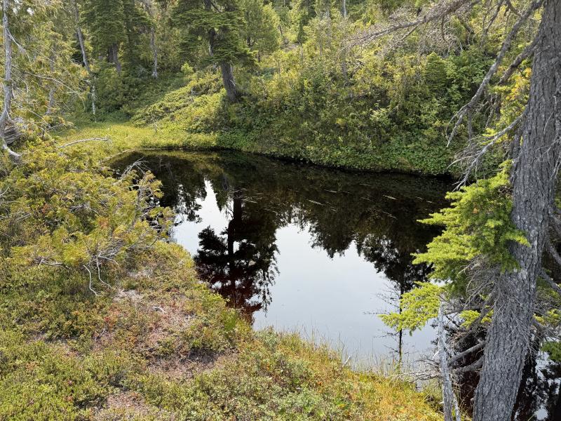 Pine Lake photo 39