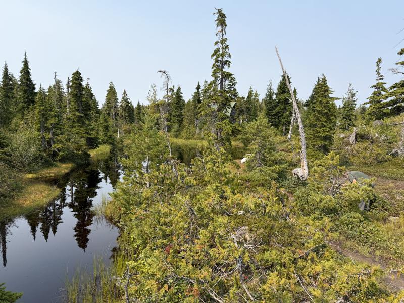 Pine Lake photo 40