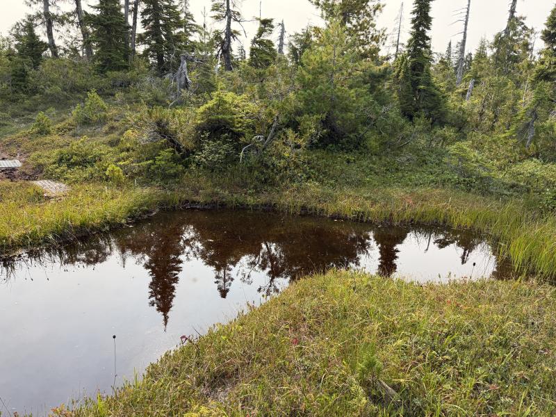 Pine Lake photo 32