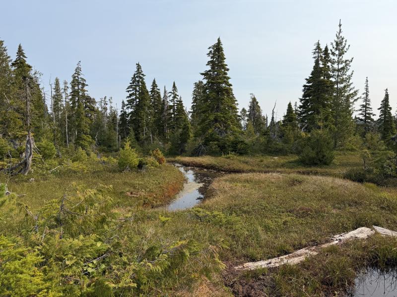 Pine Lake photo 33