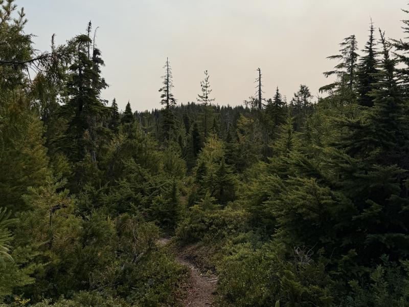 Pine Lake photo 35