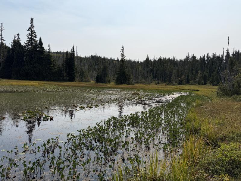 Pine Lake photo 48
