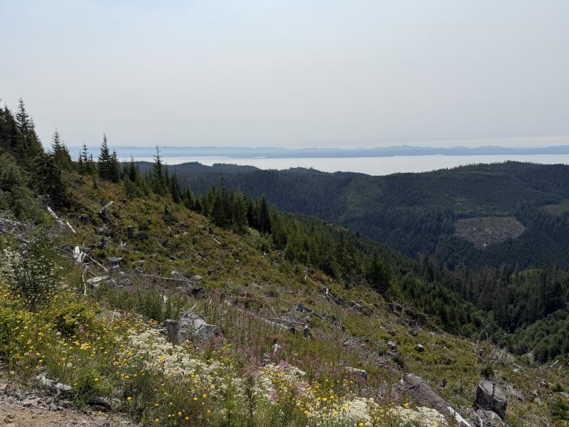 Pine Lake photo 51