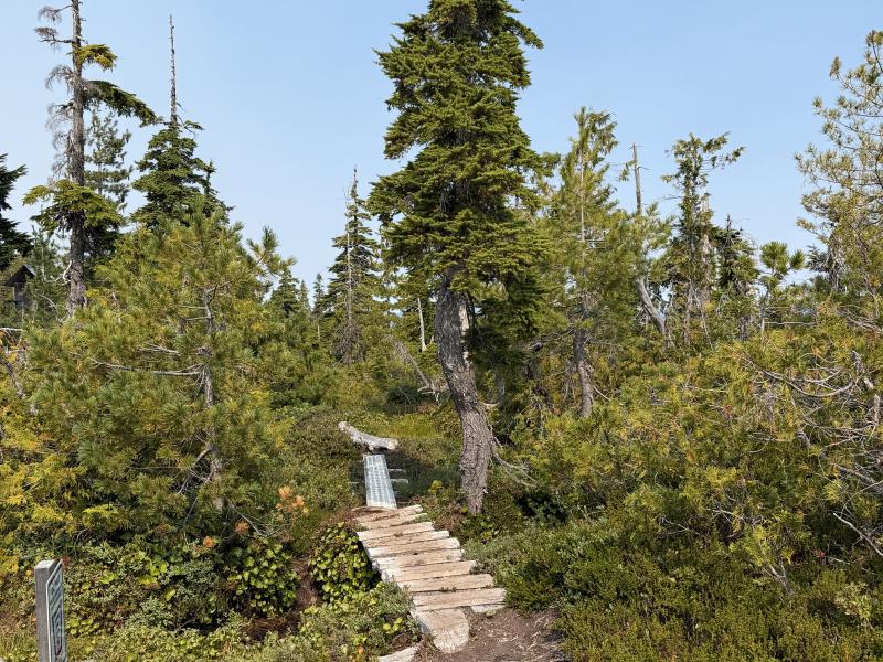 Pine Lake photo 42