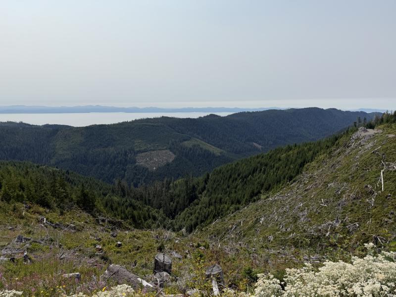 Pine Lake photo 52