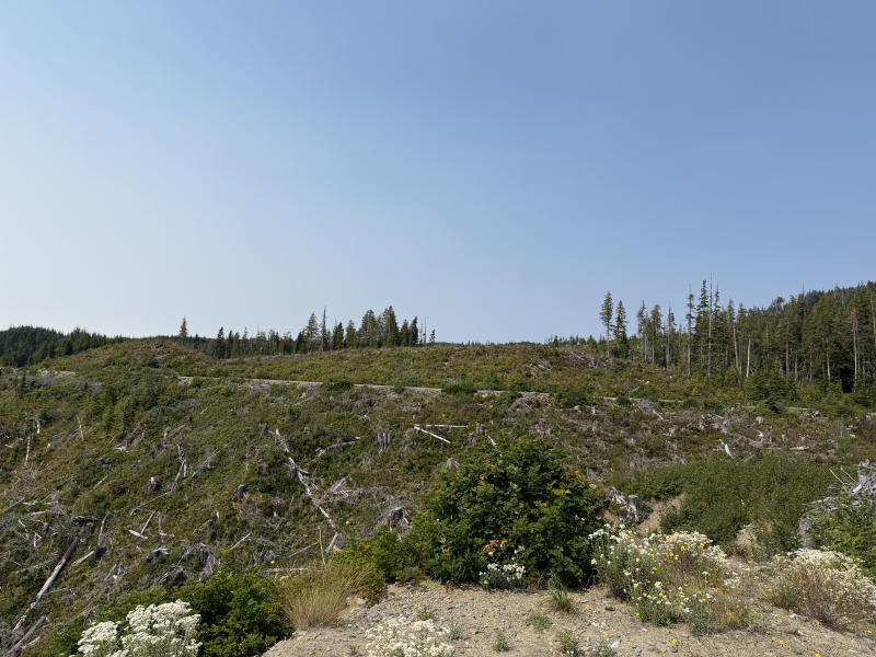Pine Lake photo 53