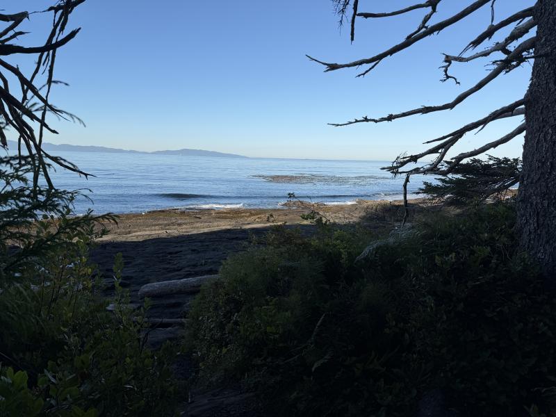 Parkinson Beach photo 18