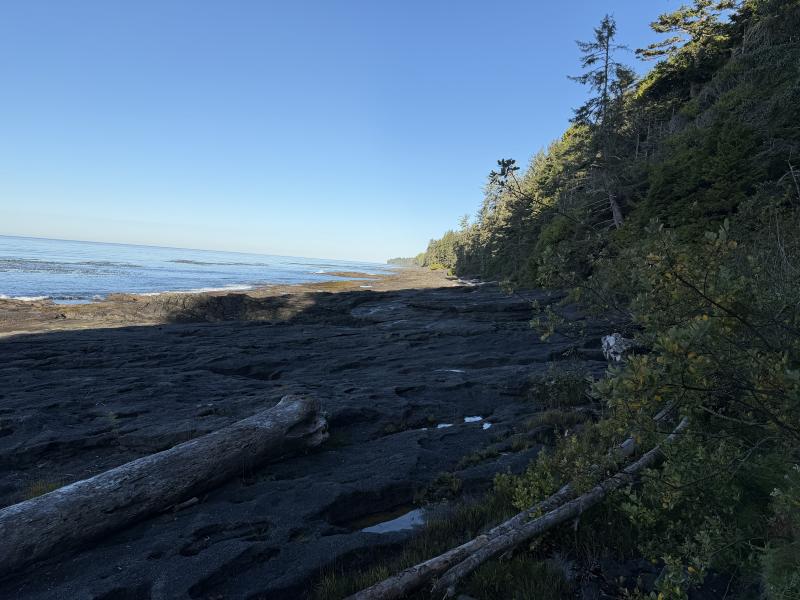 Parkinson Beach photo 19