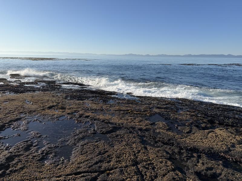 Parkinson Beach photo 21