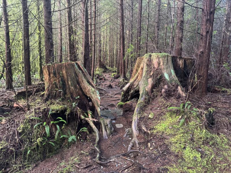 Winter Hikes photo 3