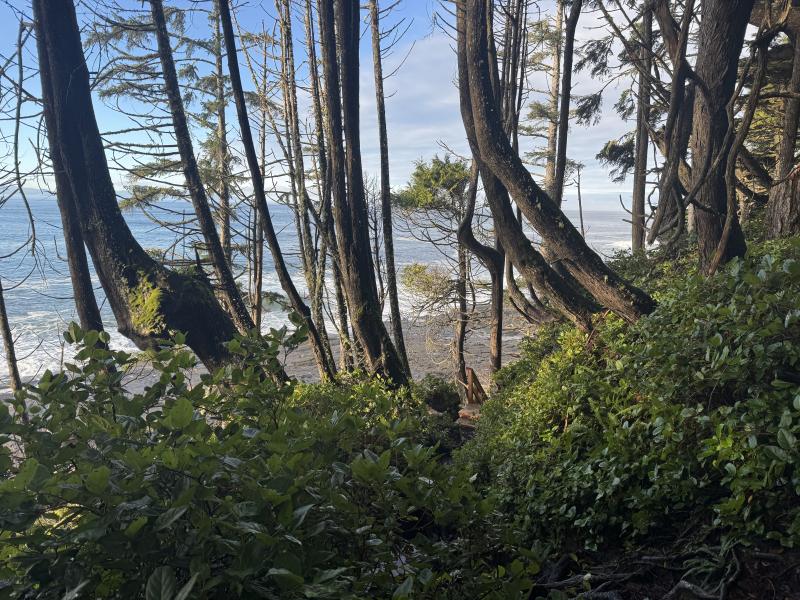 Winter Hikes photo 4