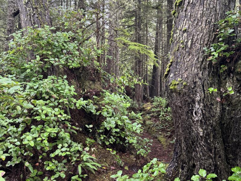 Winter Hikes photo 7