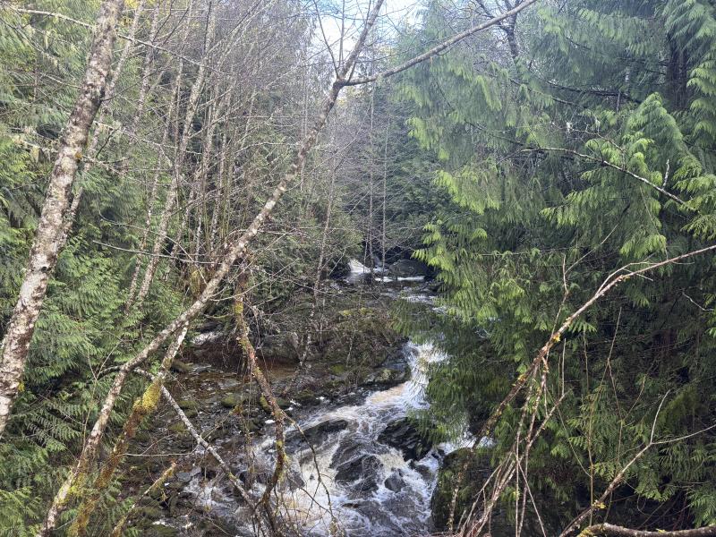 Winter Hikes photo 1