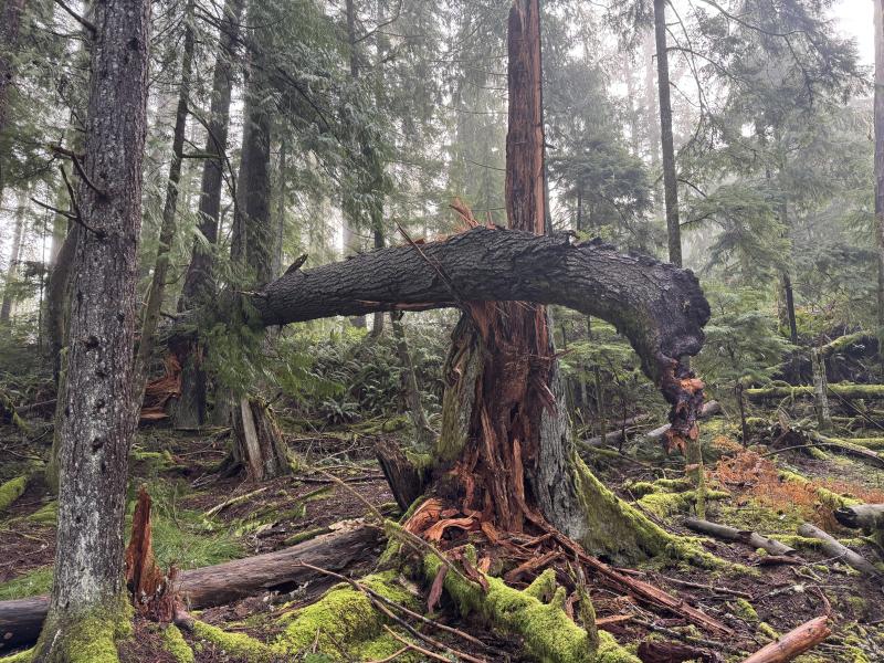 Winter Hikes photo 8