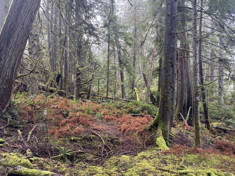 Winter Hikes photo 9