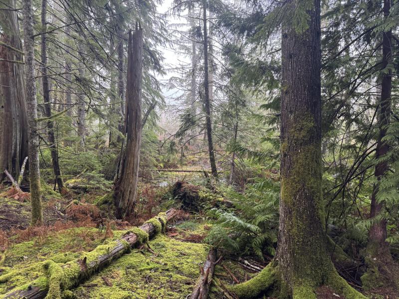 Winter Hikes photo 10