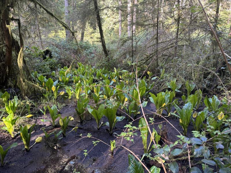 Winter Hikes photo 13