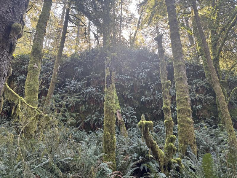 Winter Hikes photo 14