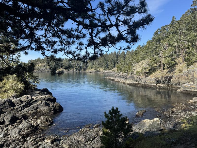 Winter Hikes photo 15