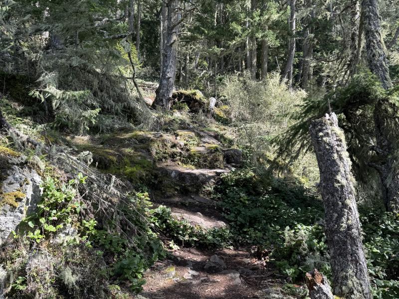 Winter Hikes photo 18